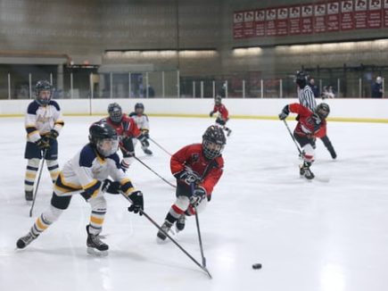 Hockey sur glace