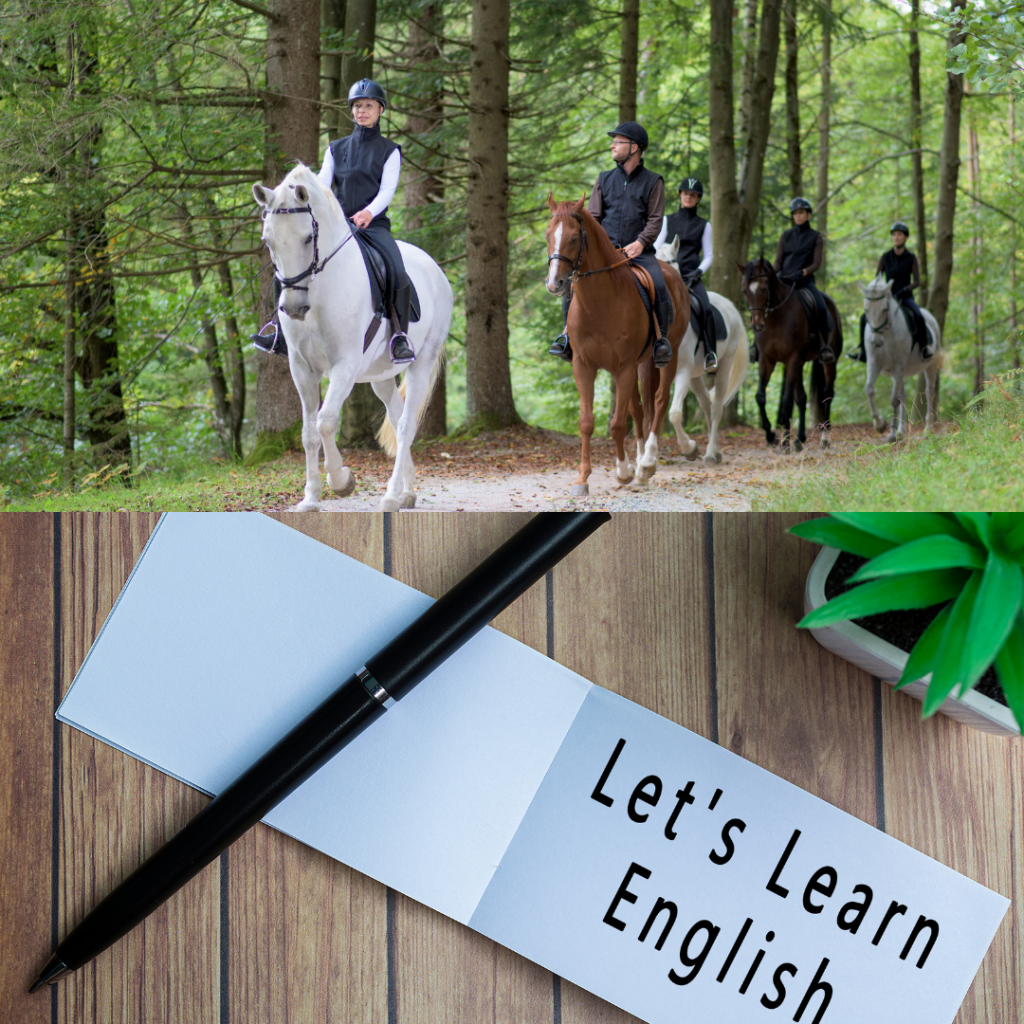 Couverture De Sangle Stubben Equi-Soft 75 Cm (30 Pouces) Noir - Équitation Anglais - Occasion Bon état