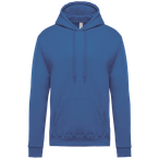 PS_K476_LIGHTROYALBLUE