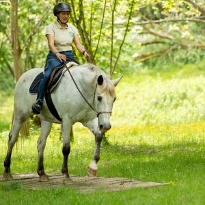 Cours d'équitation d'extérieur