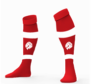 Chaussette classique II LS